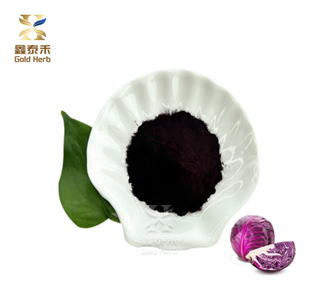 Red Cabbage Extract Powder